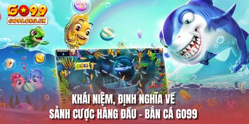 Khái niệm, định nghĩa về sảnh cược hàng đầu - bắn cá GO99