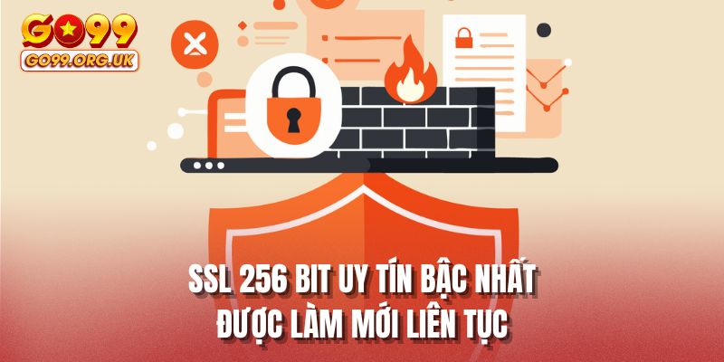 SSL 256 bit uy tín bậc nhất được làm mới liên tục